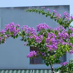 Appartement La Casa Della Riviera *